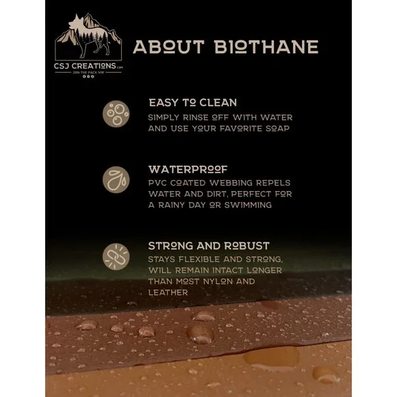 5.5’ Biothane Deluxe Slip Dog Leash - 5/8" wide w/o-ring for poo bags! USA Made - Picture 3 of 7